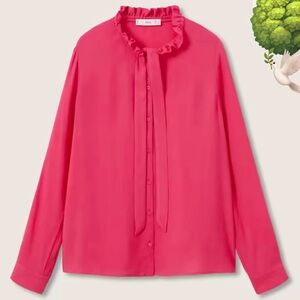 🌳🕊️HOT pink blouse